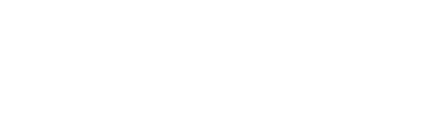 SAHO Logo