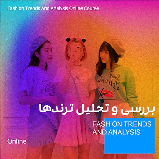 راهنمای جامع جذب ترافیک ارگانیک و رشد کسب‌وکار